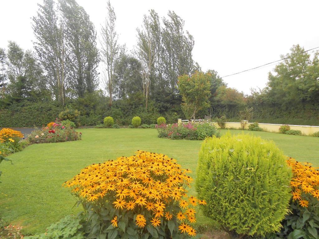 Gallows View Bed & Breakfast Bunratty Pokoj fotografie
